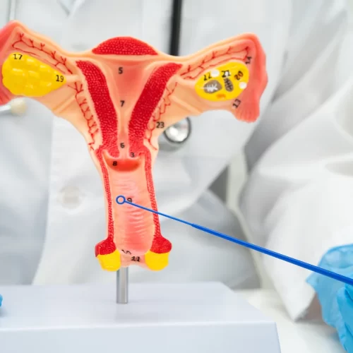 Infezioni vaginali a Perugia: sintomi, cause e quando rivolgersi alla Dott.ssa Marina Toschi