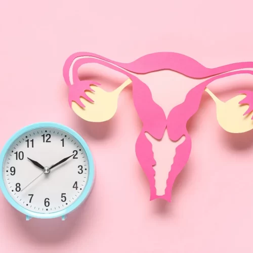 Ecografia pelvica transvaginale a Roma: orientarsi con la Dott.ssa Marina Toschi