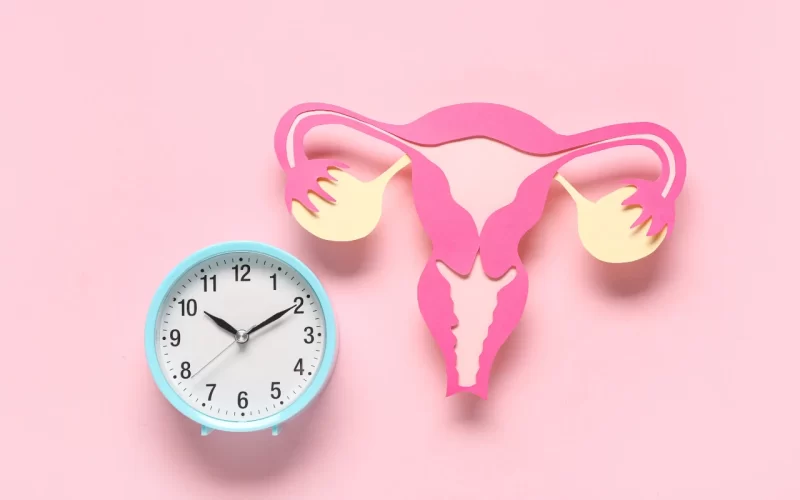 Ecografia pelvica transvaginale a Roma: orientarsi con la Dott.ssa Marina Toschi